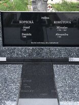 vojhrob moderný - Labrador, Absolut Black